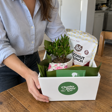 Load image into Gallery viewer, Deepest Sympathy Gift Hamper with Succulent - Sydney Only