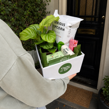 Load image into Gallery viewer, Best Frond Birthday Plant Gift Hamper - Sydney Only