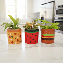 Load image into Gallery viewer, Food-themed plant pots on marble kitchen benchtop - square