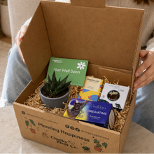 Load image into Gallery viewer, Get Well Soon Succulent Gift Box