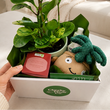 Load image into Gallery viewer, Happy Birthday Plant Hamper - Sydney Only