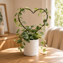 Load image into Gallery viewer, Support Your Plants - Trellis Bundle