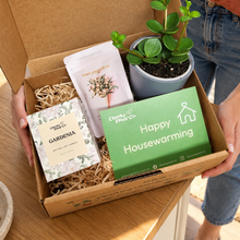 Load image into Gallery viewer, Housewarming - Plant Gift Box