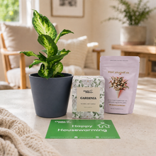 Load image into Gallery viewer, Housewarming - Plant Gift Box