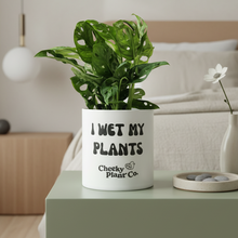 Load image into Gallery viewer, I Wet My Plants - Japandi Bedroom