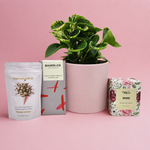 Load image into Gallery viewer, I Love You Plant Gift Hamper - Sydney Only