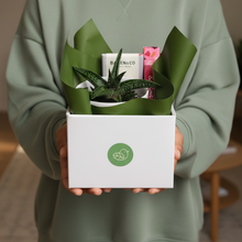 Load image into Gallery viewer, Condolence Gift Hamper - Better than Bouquets - Sydney Only