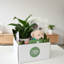 Load image into Gallery viewer, Thinking of You Gift Hamper - Better than Flowers - Sydney Only