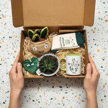 Load image into Gallery viewer, Plant Lovers - Succulent Gift Box