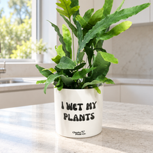 Load image into Gallery viewer, Assorted Indoor Plant in 'I Wet My Plants' Pot (12.5cmDx12cmH) - Sydney Only