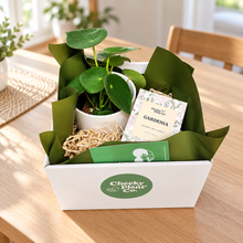 Load image into Gallery viewer, Loving Memory Condolences Gift - Plant & Candle - Sydney Only