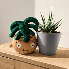 Load image into Gallery viewer, Plushie & Succulent Gift Box