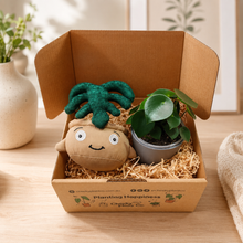 Load image into Gallery viewer, Plushie & Plant Gift Box