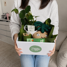 Load image into Gallery viewer, Potted Plant and Plant Plushie Gift - 120mm - Sydney Only