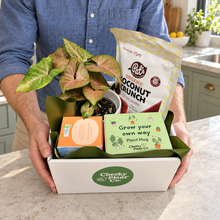 Load image into Gallery viewer, New Home - Plant Gift Hamper - Sydney Only