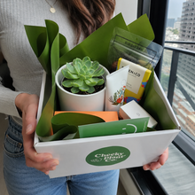 Load image into Gallery viewer, Pamper Hamper Gift - Better than Flowers - Sydney Only