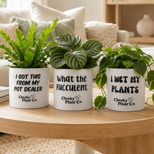 Load image into Gallery viewer, Trio Assorted Indoor Plants in Funny Pots (12.5cmD x 12cmH) - Sydney Only