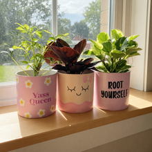 Load image into Gallery viewer, Pretty in Pink - Pot Bundle