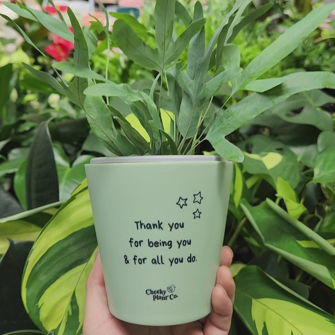 thank you plant pot Thank You For All You Do