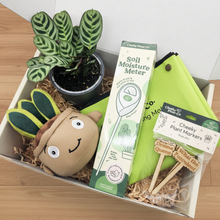 Load image into Gallery viewer, Cheeky Plant Care Starter Gift Box