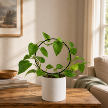 Load image into Gallery viewer, Black Iron Plant Trellis - Ring (22.5x34cmH)