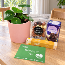 Load image into Gallery viewer, Sincere Sympathy Plant Gift Hamper - Sydney Only
