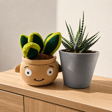 Load image into Gallery viewer, Plushie & Succulent Gift Box