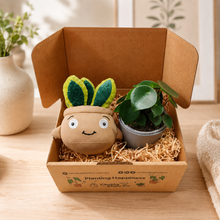 Load image into Gallery viewer, Plushie & Plant Gift Box