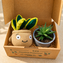 Load image into Gallery viewer, Plushie & Succulent Gift Box