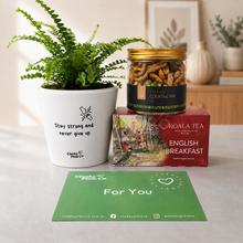 Load image into Gallery viewer, Positive Vibes - Plant Gift Box
