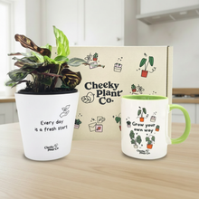 Load image into Gallery viewer, Subtle shadows - Every day