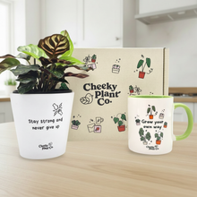 Load image into Gallery viewer, Subtle shadows - Stay strong