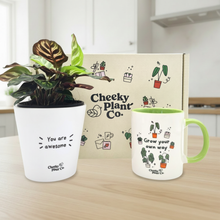 Load image into Gallery viewer, Subtle shadows - You are awesome