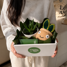 Load image into Gallery viewer, Succulent & Plant Plushie Gift - Sydney Only