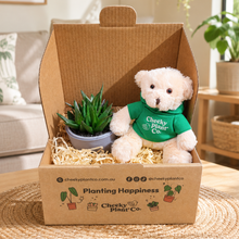 Load image into Gallery viewer, Teddy Bear & Succulent Gift Box