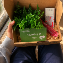 Load image into Gallery viewer, Thinking of You / Comforting Condolence Plant Gift Box