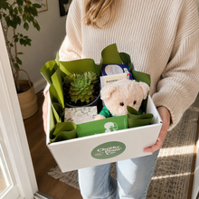 Load image into Gallery viewer, Thinking of You - Succulent Hamper / Succulent Gift Box - Sydney Only