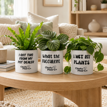 Load image into Gallery viewer, Trio Pack - Funny - Cheeky Plant Co. Pots - 12.5cmD x 12cmH