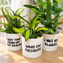Load image into Gallery viewer, Trio Pack - Funny - Cheeky Plant Co. Pots - 12.5cmD x 12cmH