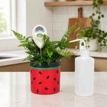 Load image into Gallery viewer, Indoor Plant Watering Kit - Watermelon Pot Bundle