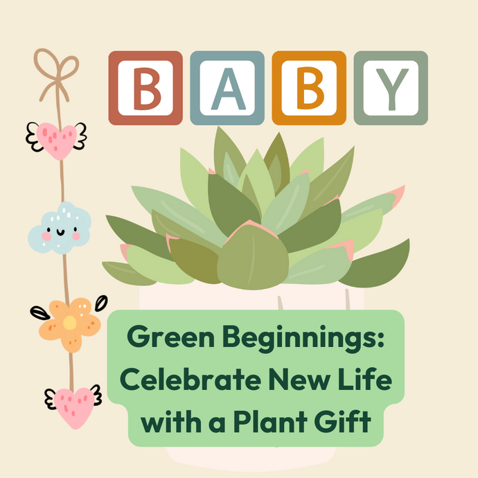 Green Beginnings: Celebrate New Life with a Plant Gift