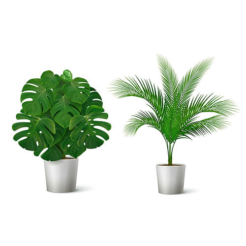 The Only Reasons Why You Should Buy Artificial Plants
