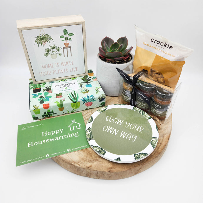 Bringing Life to New Beginnings: Why Succulent and Plant Hampers Make the Ultimate New Home Gifts