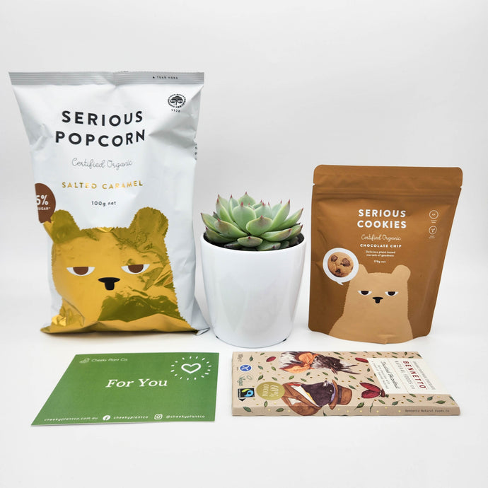 Why Plant Gift Hampers Are the Best Vegan Friendly Gifts