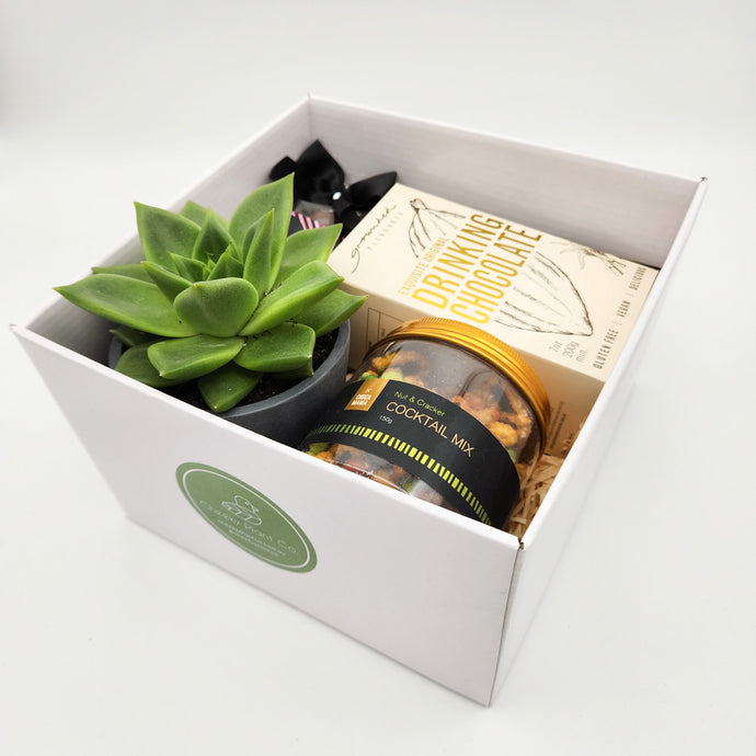 Why Plant Gifts Are the Best Corporate Gifts for Employees and Staff