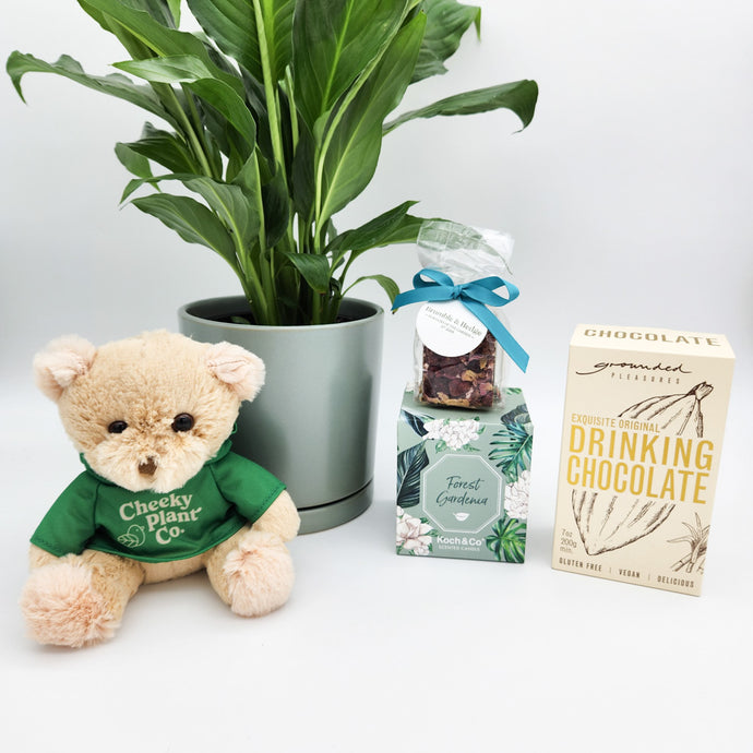 Unveiling the Green Trend: Why Plant Gifts Are Trending in 2024