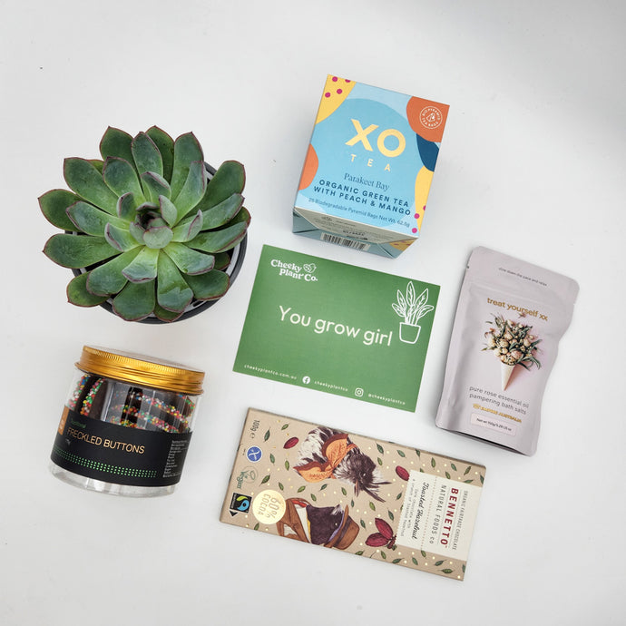 5 Reasons Why Succulent Gift Boxes are a Trending Gift Idea
