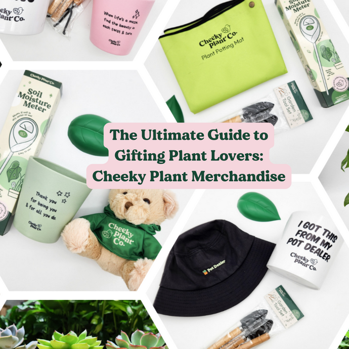 The Ultimate Guide to Gifting Plant Lovers: Cheeky Plant Merchandise