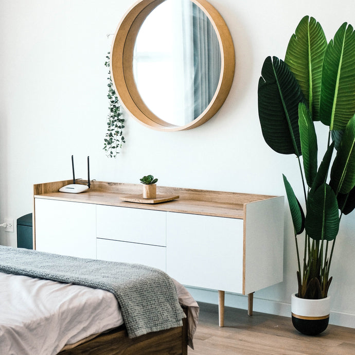 How to Arrange Indoor Plants in Your Home