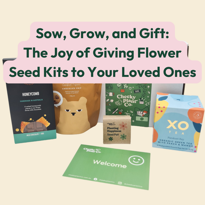 Sow, Grow, and Gift: The Joy of Giving Flower Seed Kits to Your Loved Ones